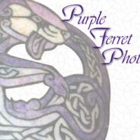 Photo - Purple Ferret Photography